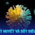 Phân biệt sốt siêu vi và sốt xuất huyết: Nguyên nhân - Triệu chứng - Biến chứng