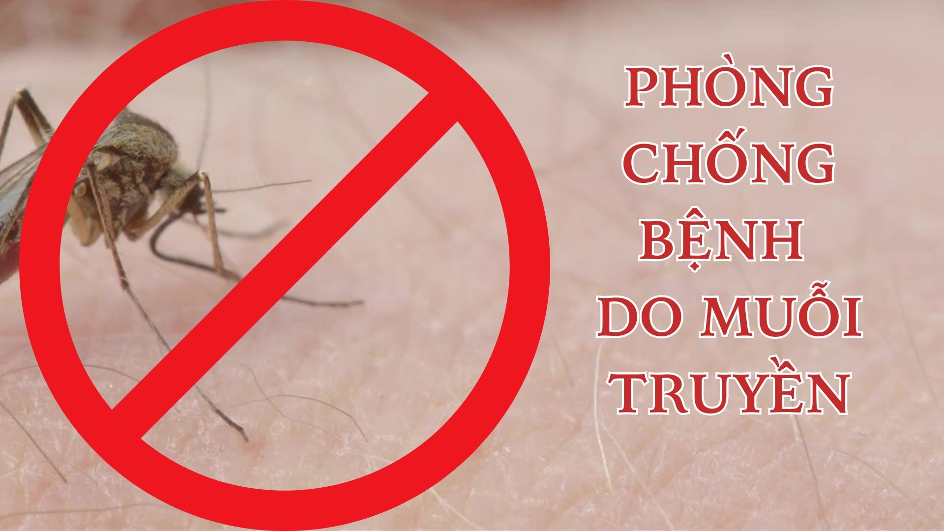 GIAO MÙA MUỖI SINH SÔI, DỄ BÙNG PHÁT BỆNH TRUYỀN NHIỄM