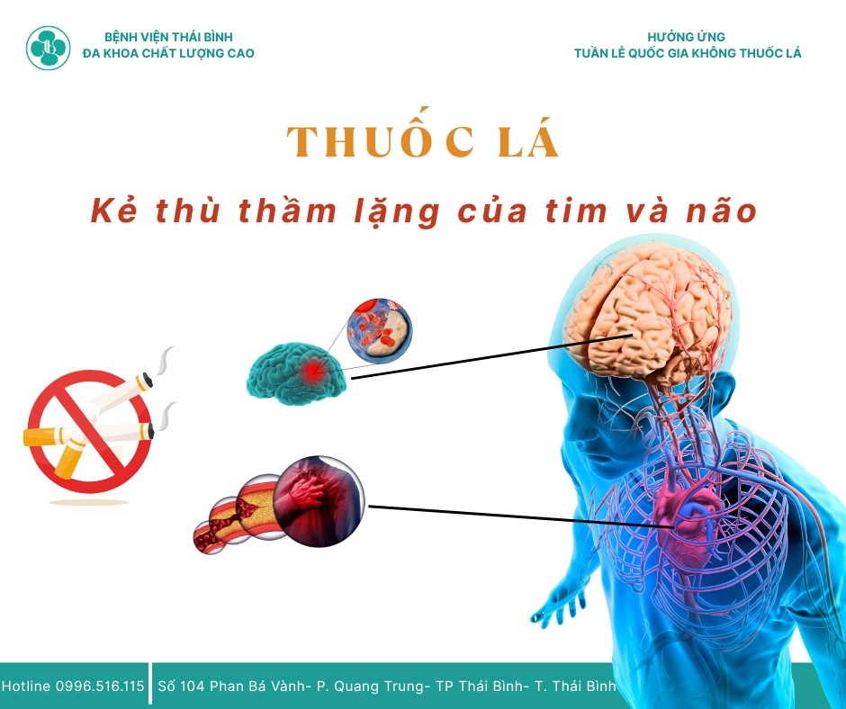HÚT THUỐC LÁ- SÁT THỦ THẦM LẶNG CỦA TIM VÀ NÃO